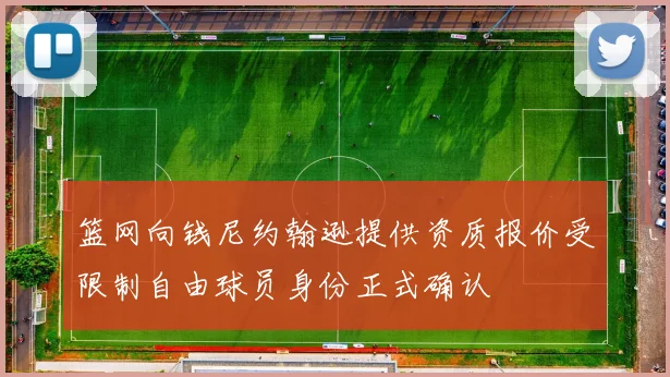 篮网向钱尼约翰逊提供资质报价受限制自由球员身份正式确认