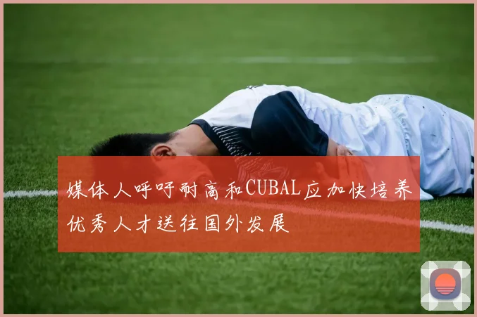 媒体人呼吁耐高和CUBAL应加快培养优秀人才送往国外发展