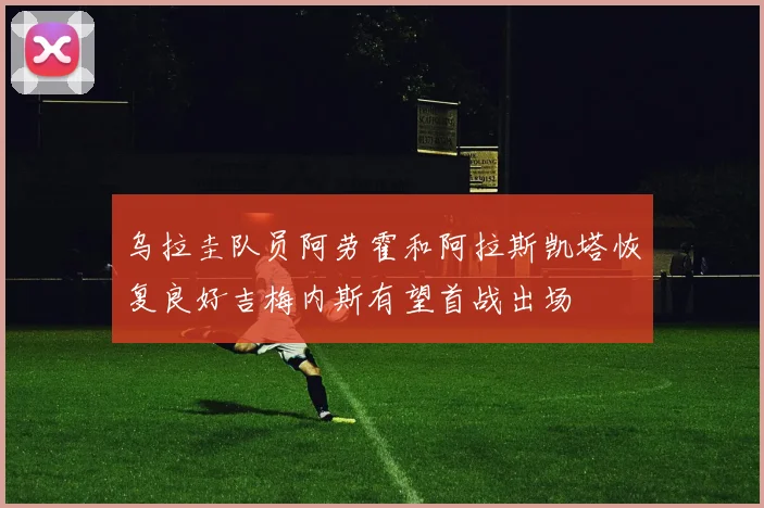 乌拉圭队员阿劳霍和阿拉斯凯塔恢复良好吉梅内斯有望首战出场