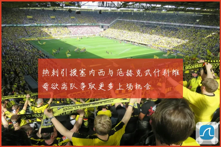 热刺引援塞内西与范赫克武什科维奇欲离队争取更多上场机会