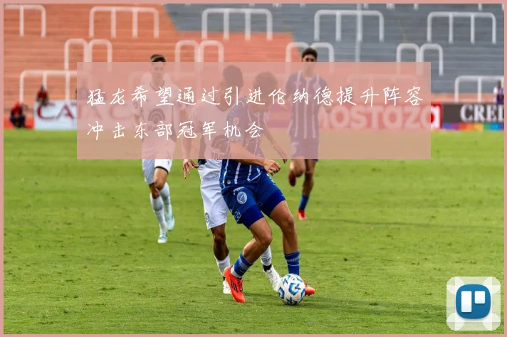 猛龙希望通过引进伦纳德提升阵容冲击东部冠军机会